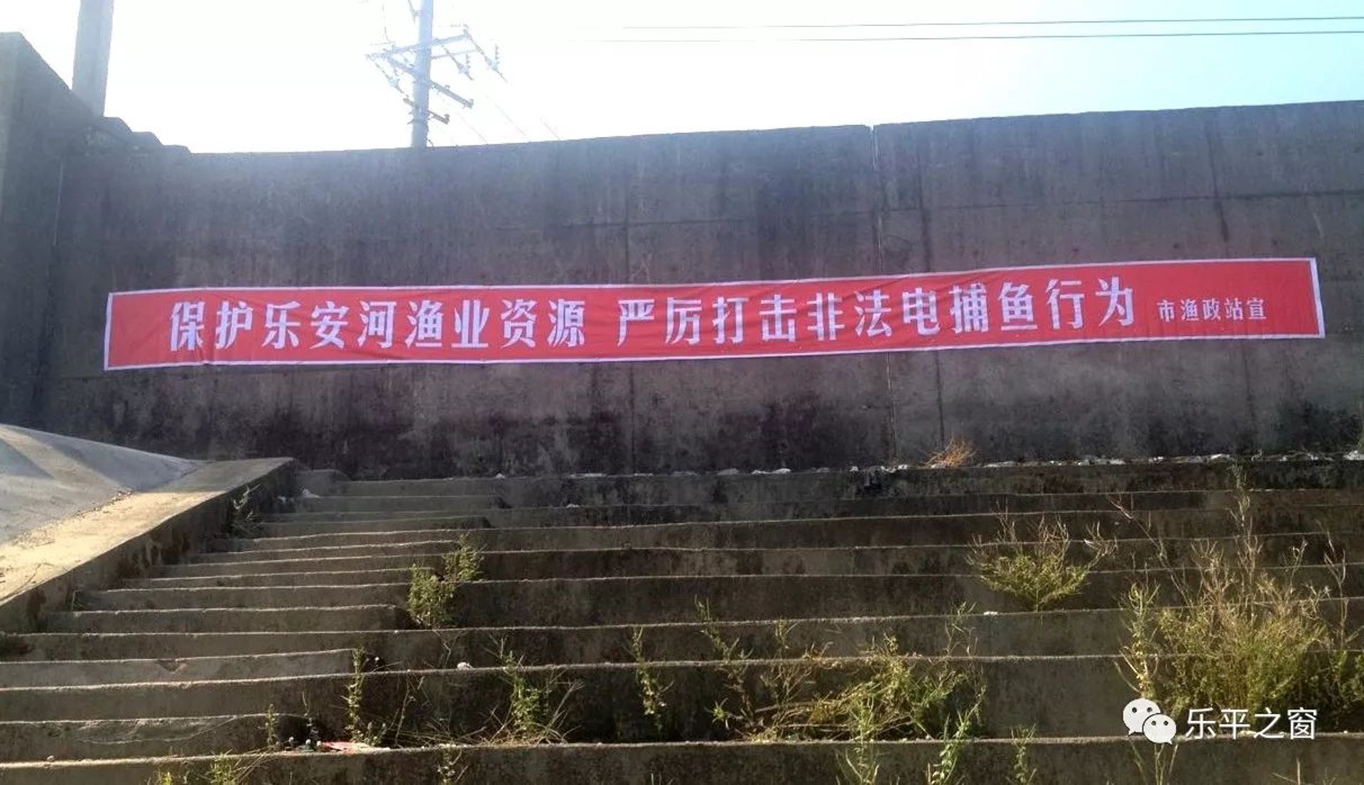儒林企业管理